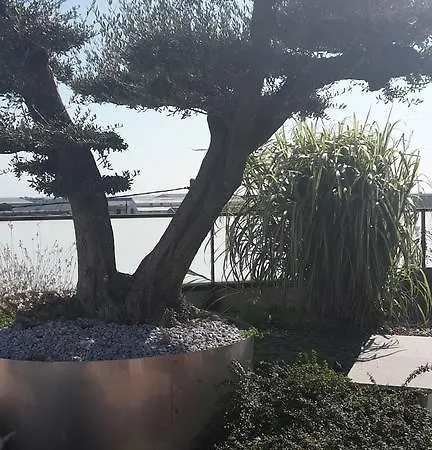 Le 303